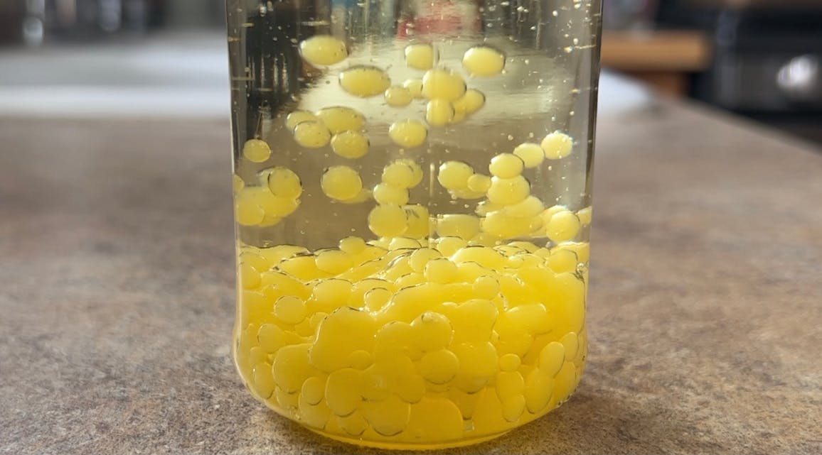 A small jar of oil with a lot of mango spheres.