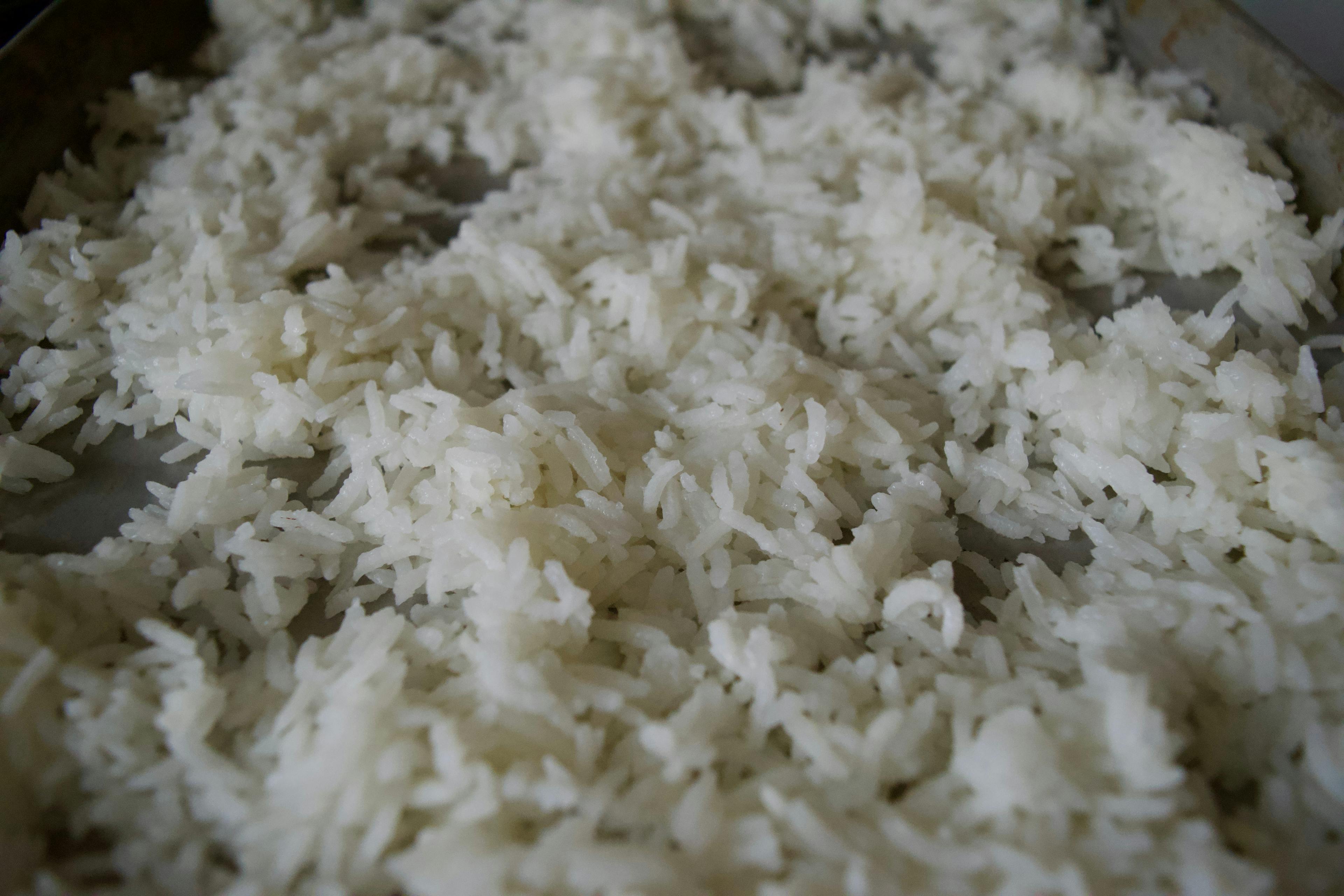Close up of cooked white rice.