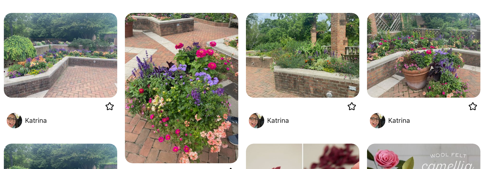 Screen shot of Pinterest board showing pictures from the Chicago Botanic Garden.