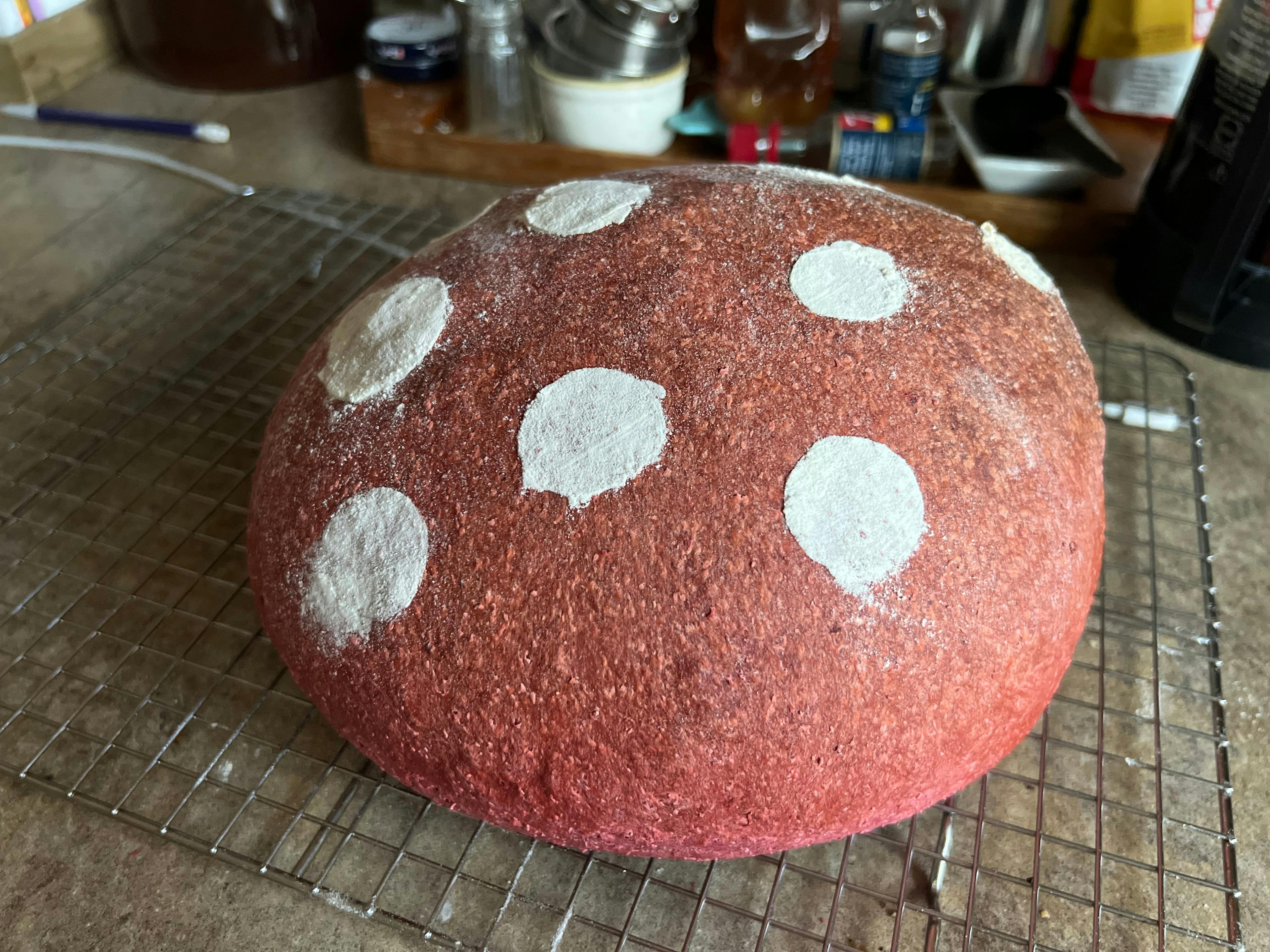 Beet bread cooling with white circles of flour on the crust